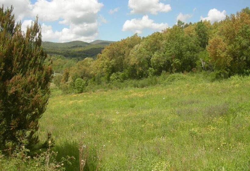 Апартаменты 1 Спальня Вид на Бассейн, Agriturismo Poggio Macinaio