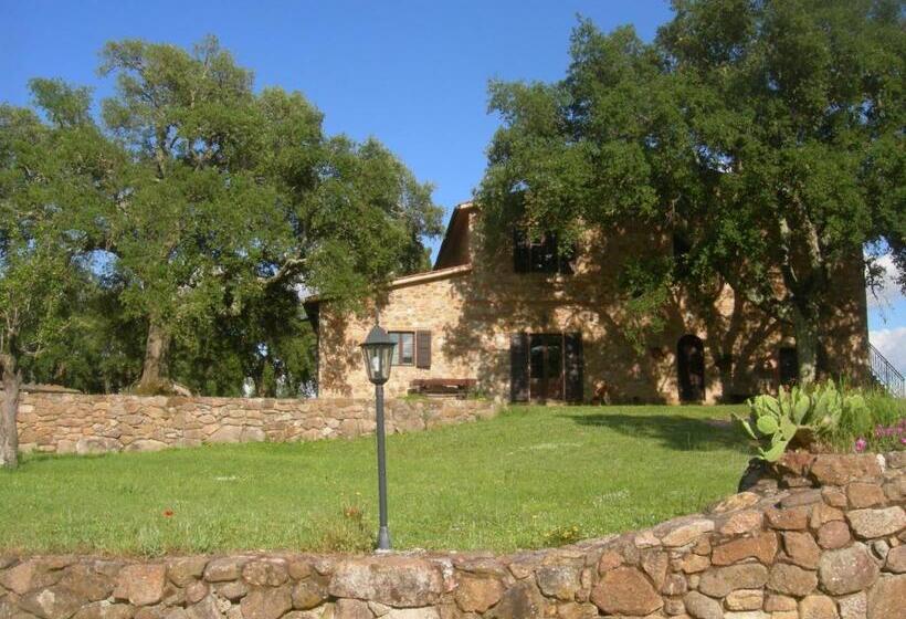Апартаменты 1 Спальня Вид на Бассейн, Agriturismo Poggio Macinaio