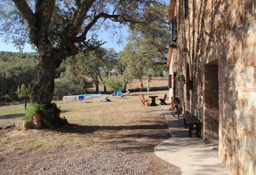 Апартаменты 2 Спальни, Agriturismo Poggio Macinaio