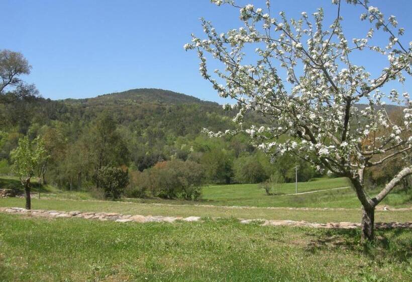 Апартаменты 2 Спальни, Agriturismo Poggio Macinaio