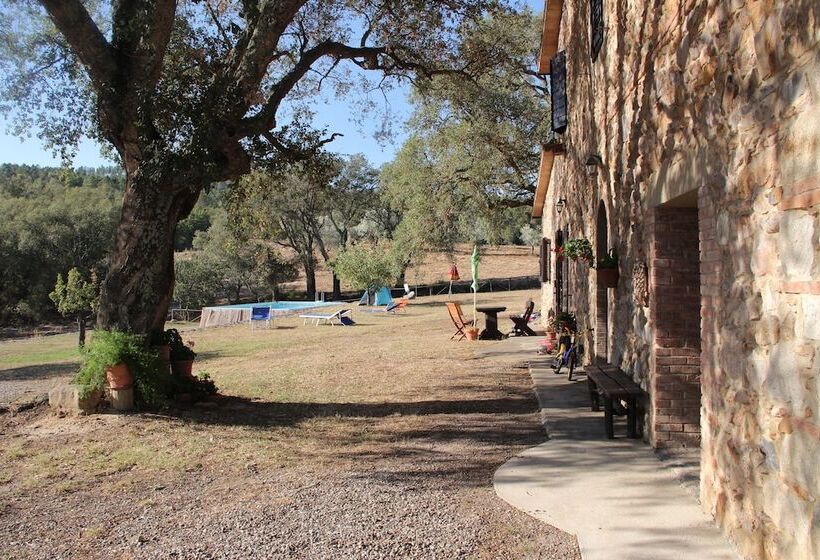 Апартаменты 2 Спальни, Agriturismo Poggio Macinaio