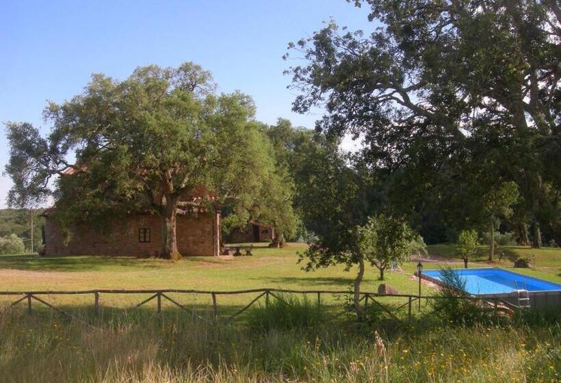 Апартаменты 1 Спальня Вид на Бассейн, Agriturismo Poggio Macinaio