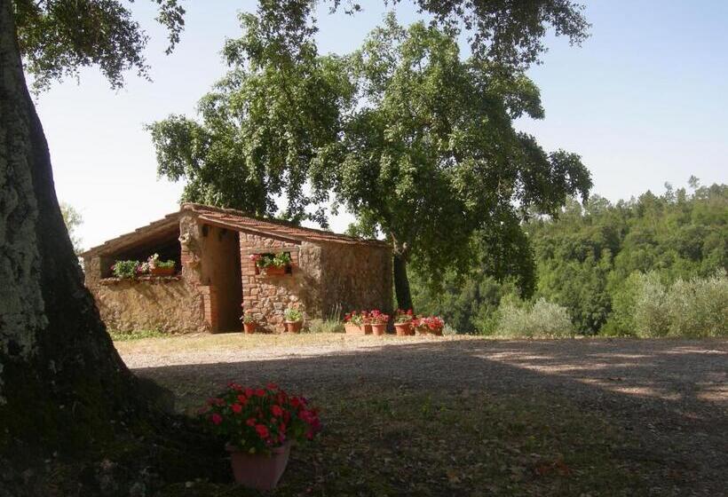 Апартаменты 1 Спальня Вид на Бассейн, Agriturismo Poggio Macinaio