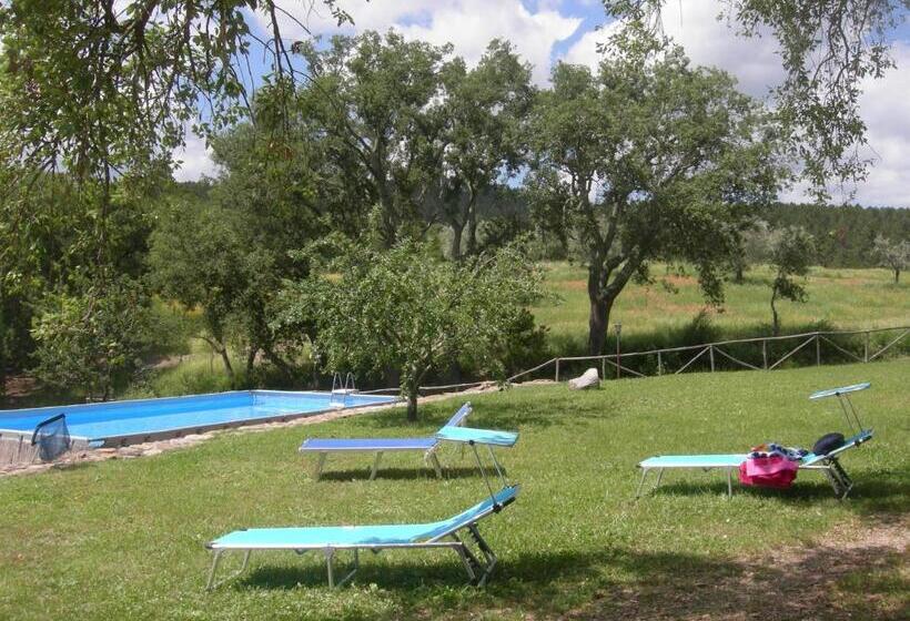 Апартаменты 2 Спальни, Agriturismo Poggio Macinaio