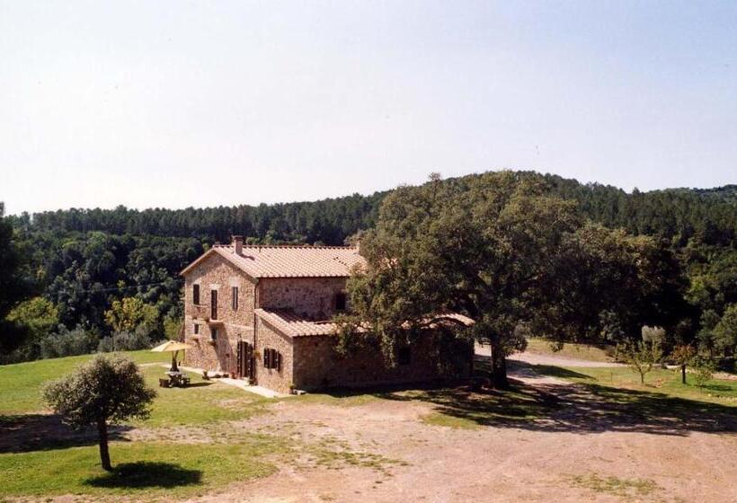 Апартаменты 1 Спальня Вид на Бассейн, Agriturismo Poggio Macinaio