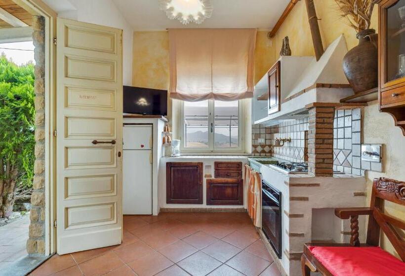 带1个卧室的公寓, Agriturismo San Tommaso