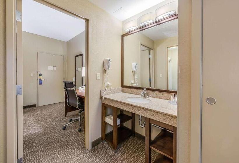 Suite Letto King, Comfort Suites Chicago O Hare Airport