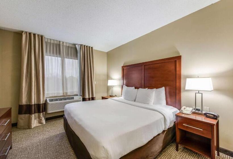 Suite Accessibile ai persone con mobilità ridotta, Comfort Suites Chicago O Hare Airport