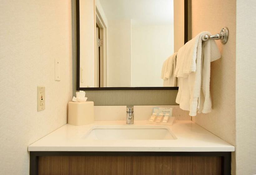 Номер Стандарт 2 Двуспальные Кровати, Hilton Garden Inn Saratoga Springs