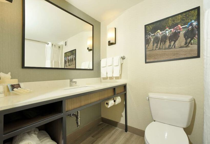 Номер Deluxe, Hilton Garden Inn Saratoga Springs
