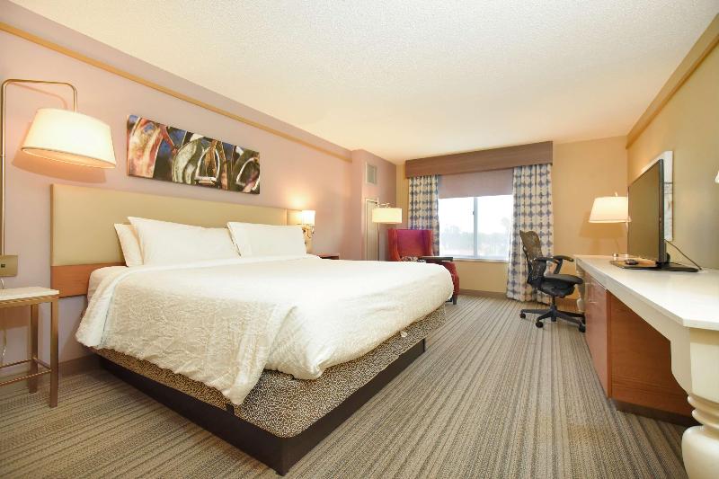 Стандартный Номер Кровать Кинг, Hilton Garden Inn Saratoga Springs