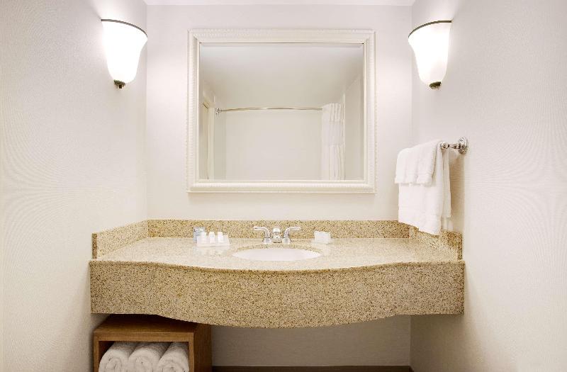 Номер Премиум, Hilton Garden Inn Saratoga Springs
