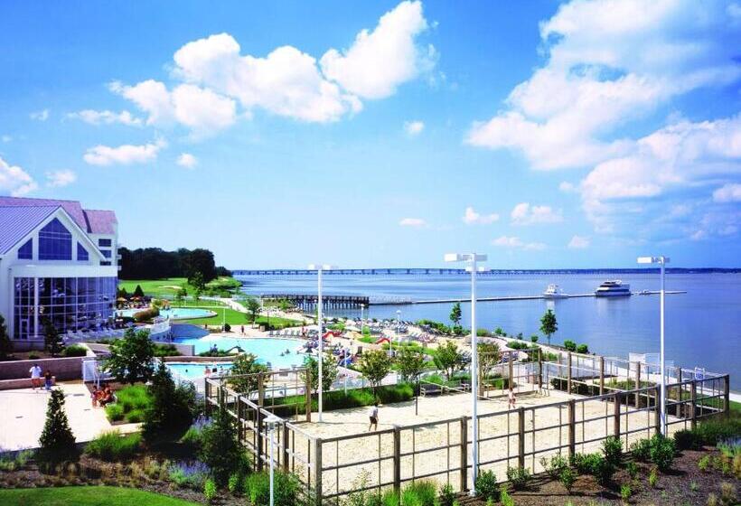 キングサイズベッドのスタンダードルーム, Hyatt Regency Chesapeake Bay Golf Resort, Spa & Marina