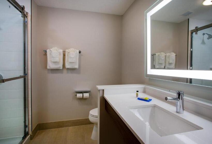 장애인을 위한 스탠다드 룸, Holiday Inn Express & Suites   Deland South, An Ihg