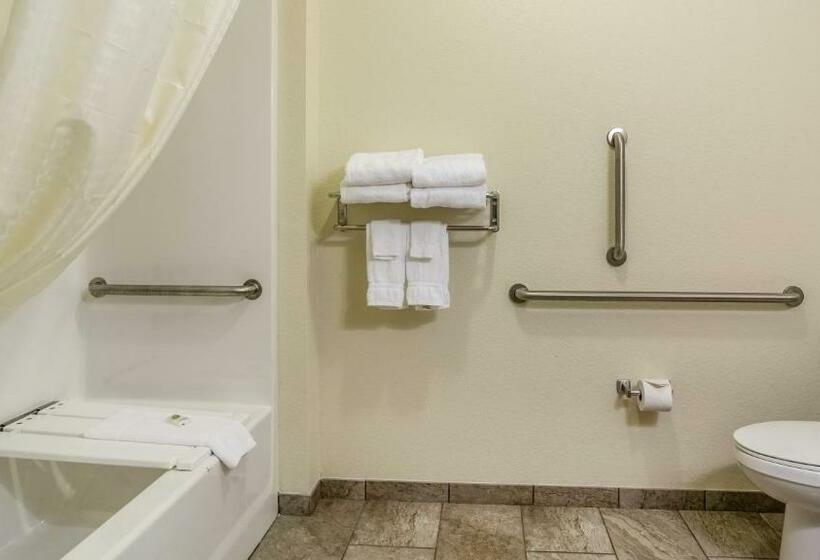 장애인을 위한 킹사이즈 침대 스탠다드 룸, Cobblestone Hotel & Suites   Newport