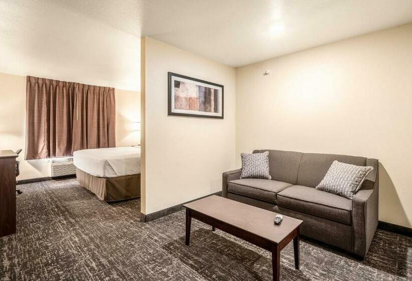 스탠다드 스튜디오, Cobblestone Hotel & Suites   Newport