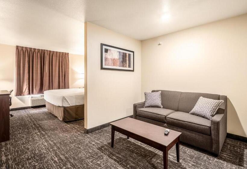 스탠다드 스튜디오 킹침대, Cobblestone Hotel & Suites   Newport