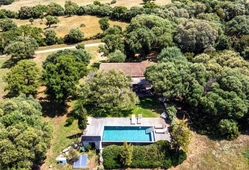 Вилла 1 Спальня, Domaine De Peretti Della Rocca