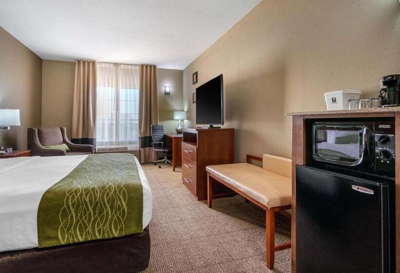 스탠다드 룸 킹사이즈 침대, Comfort Inn & Suites Sacramento   University Area