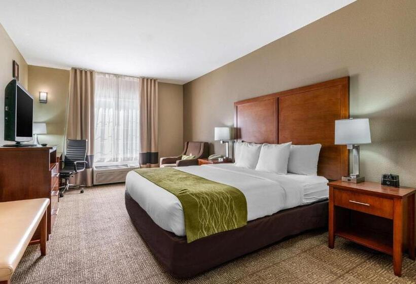 스위트 킹사이즈 침대, Comfort Inn & Suites Sacramento   University Area