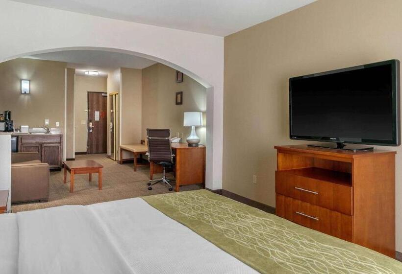 스위트 킹사이즈 침대, Comfort Inn & Suites Sacramento   University Area