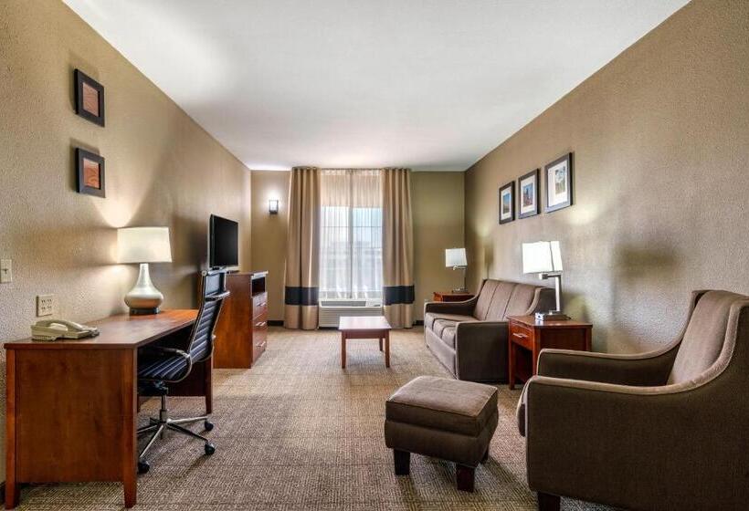 스위트 킹사이즈 침대, Comfort Inn & Suites Sacramento   University Area