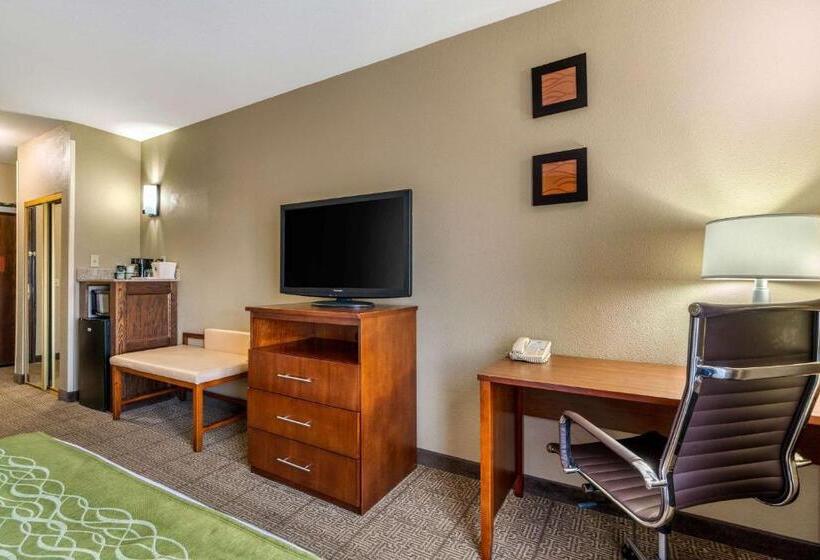 장애인을 위한 킹사이즈 침대 스탠다드 룸, Comfort Inn & Suites Sacramento   University Area