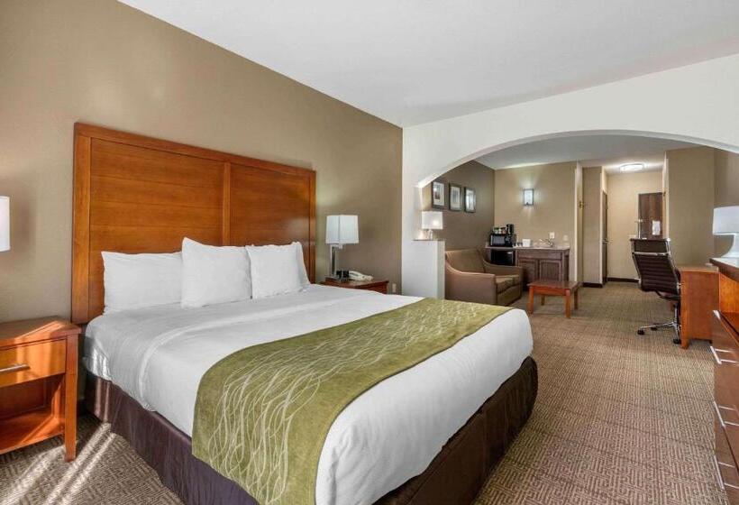 장애인을 위한 스위트, Comfort Inn & Suites Sacramento   University Area
