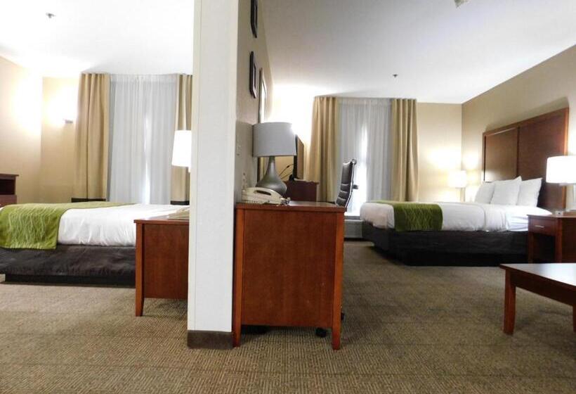 스위트 킹사이즈 침대, Comfort Inn & Suites Sacramento   University Area