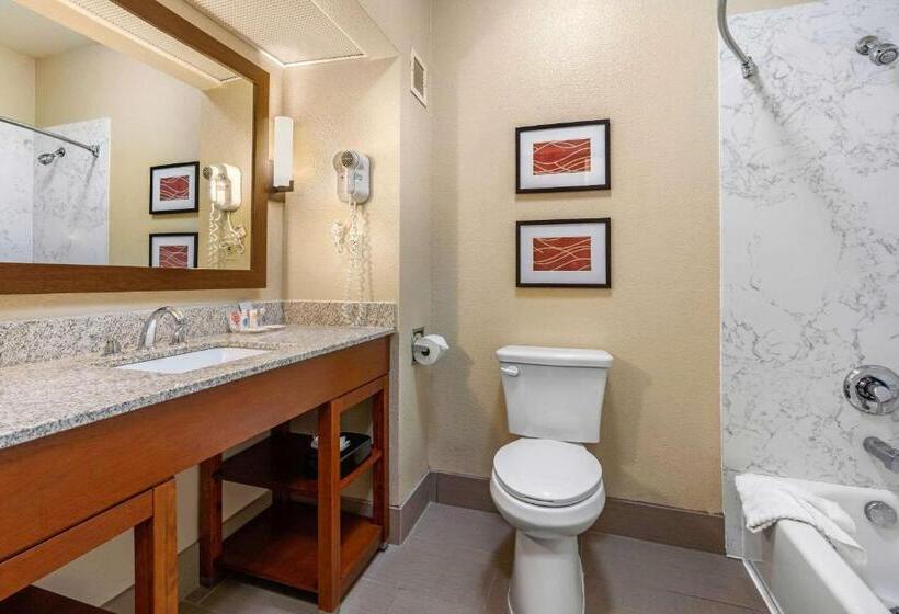 스위트 킹사이즈 침대, Comfort Inn & Suites Sacramento   University Area