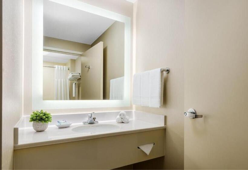 اتاق استاندارد با 2 تخت دوبل, Springhill Suites Manchesterboston Regional Airport