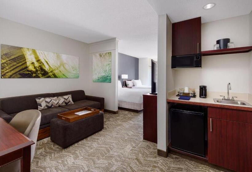 اتاق استاندارد با 2 تخت دوبل, Springhill Suites Manchesterboston Regional Airport
