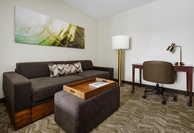 带2个双人床的标准工作室, Springhill Suites Manchesterboston Regional Airport