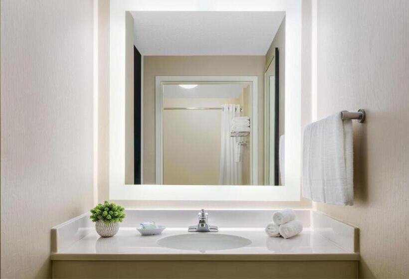 带双人大床的行政管理套房, Springhill Suites Manchesterboston Regional Airport