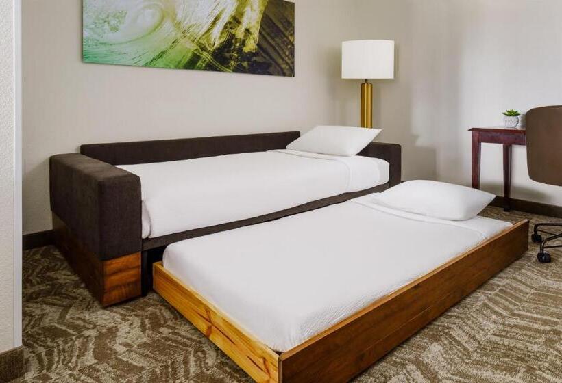 سوئیت اجرایی با تخت کینگ, Springhill Suites Manchesterboston Regional Airport