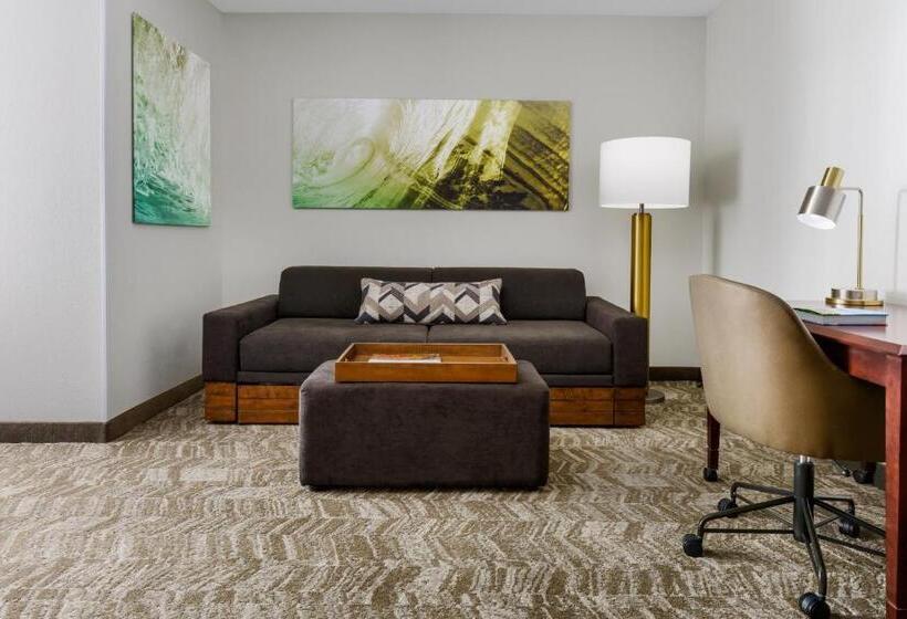 اتاق استاندارد با 2 تخت دوبل, Springhill Suites Manchesterboston Regional Airport