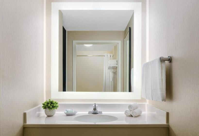 带2个双人床的标准工作室, Springhill Suites Manchesterboston Regional Airport