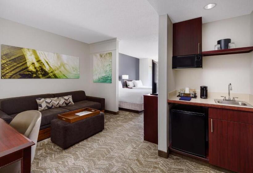 اتاق استاندارد با 2 تخت دوبل, Springhill Suites Manchesterboston Regional Airport