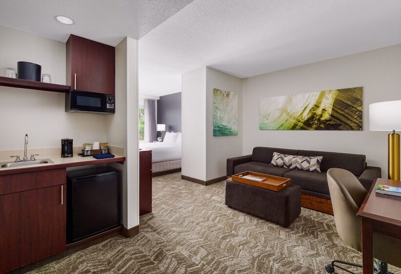 适合残疾人士使用的套间, Springhill Suites Manchesterboston Regional Airport