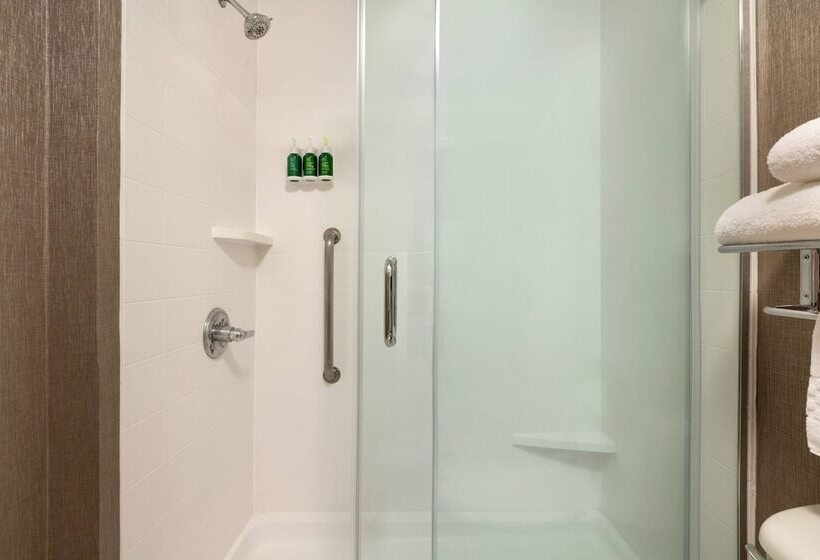 Люкс, Springhill Suites Phoenix Chandler/fashion Center