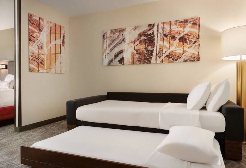 Люкс, Springhill Suites Phoenix Chandler/fashion Center