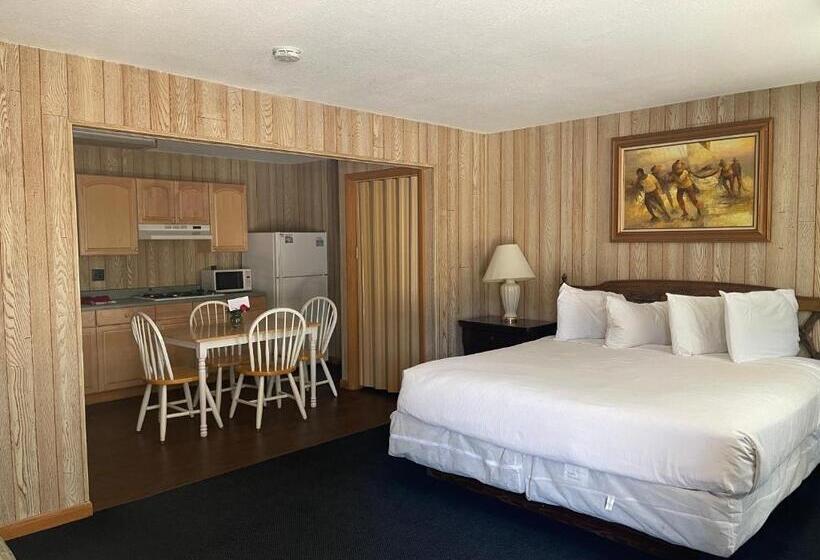 Номер Deluxe Кровать Кинг, Saddle & Surrey Motel