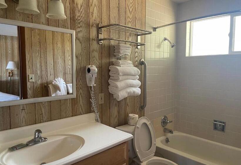 Номер Superior, Saddle & Surrey Motel