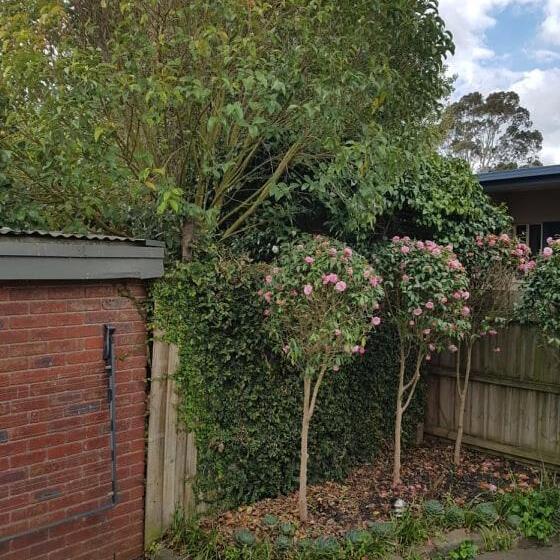 패밀리 스위트, Creek Cottage Bed And Breakfast Traralgon