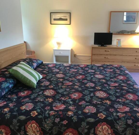 Номер Deluxe Кровать Кинг, Four Seasons Motor Inn
