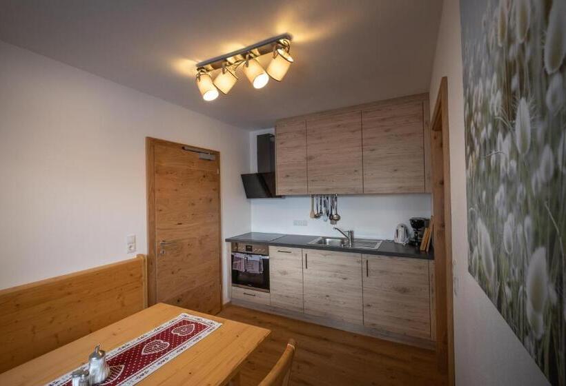 Апартаменты 1 Спальня, Landhaus Birgit