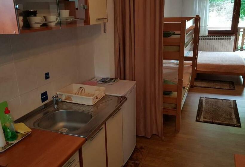 استودیوی استاندارد, St George B&b