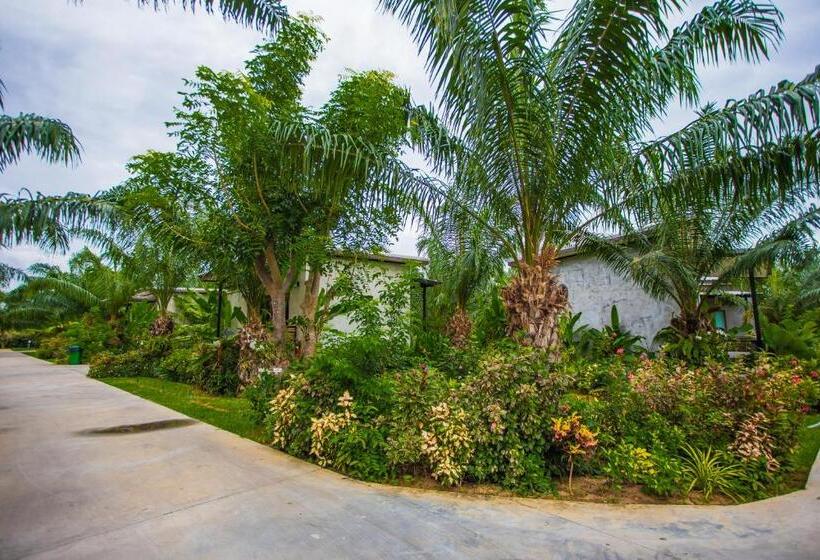 스탠다드 룸, Palm Pran Resort