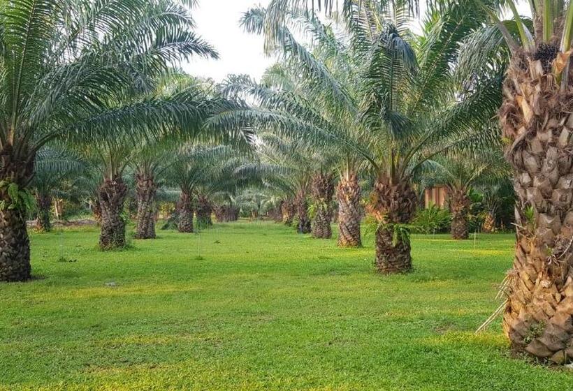4인용 스탠다드 룸, Palm Pran Resort