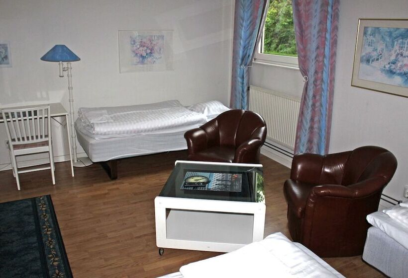 اتاق استاندارد سه نفره, Fleninge Classic Motel
